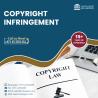 Intellectual Property, Copyright Infringement, Patent Monitoring, Trade Secret Litigation Services
