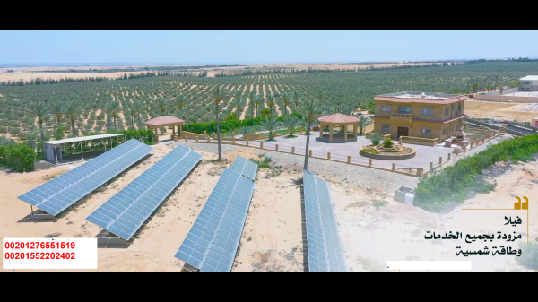 Olive oil factory for sale in Egypt