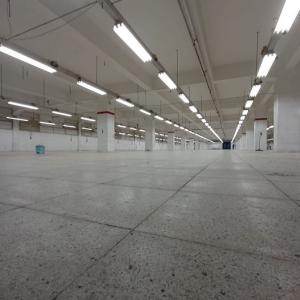 Factory for rent in Egypt, 14,000 square meters