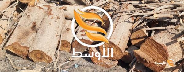 حطب الجزورين مشاوي وتدفئة للتصدير ,