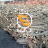 حطب الحمضيات تصدير