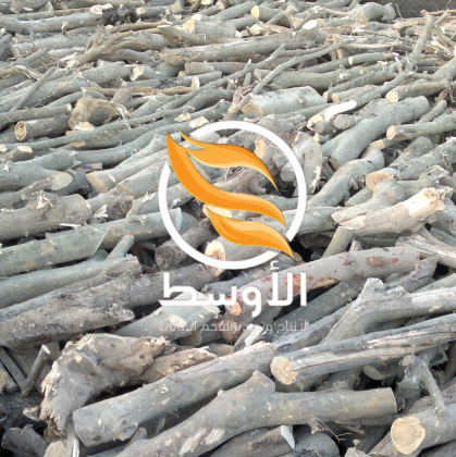 حطب الزيتون مشاوي للتصدير , خشب مشاوي