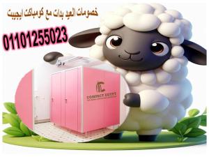 استخدامات كومباكت HPL في تصميم  ابواب الحمامات