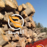 حطب الزيتون مشاوي للتصدير , خشب مشاوي