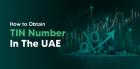 How to Obtain a TIN Number in The UAE