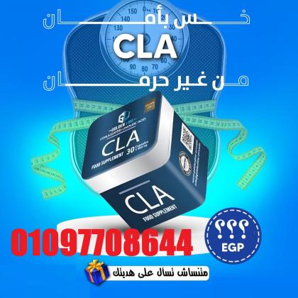 كبسولات CLA الأصلية  السلاح السري لحرق الدهون ونحت الجسم بذكاء