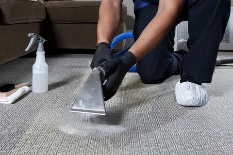 Everyday Laundry LLC is the Best Carpet Cleaning Company in Abu Dhabi for Deep Cleaning and Reliable Service