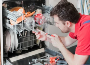 How Can Proper Dishwasher Maintenance Save You Money?