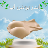 بوش آب شورت