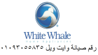 اعطال صيانة ثلاجات  وايت ويل بمدينة نصر 01207619993