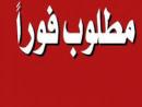 مطلوب موظفين خبره في الاستثمار العقاري وتاجير وتشغيل ا