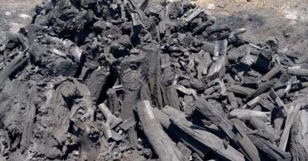 فحم الحمضيات ( الليمون ) للتصدير