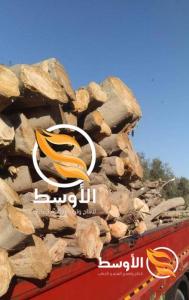 حطب الزيتون مشاوي للتصدير , حطب تصدير