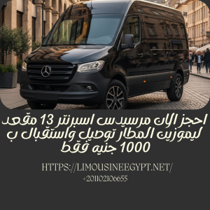 Rent Mercedes Sprinter 13-Seater 2025 Model: VIP Transfer from Cairo Airport for Sightseeing Tours!