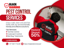 Protecting Homes, Ensuring Peace — The Best Pest Control in Abu Dhabi