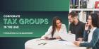 A guide to Corporate Tax Groups in the UAE