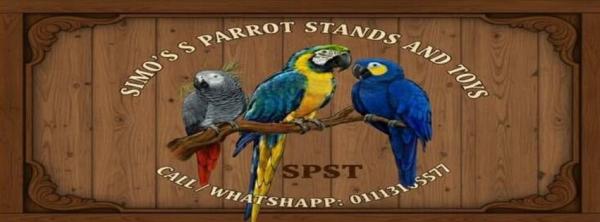 استاند ببغاء و العاب خشب اشجا