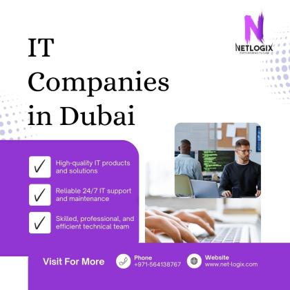 Professional IT Companies in Dubai Supporting Business Success