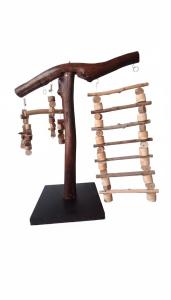 استاند ببغاء