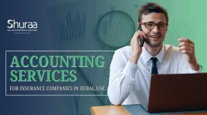 Accounting Services for Insurance Companies in Dubai, UAE