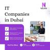 Professional IT Companies in Dubai Supporting Business Success