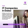 Top IT Companies in Dubai for Business IT Solutions and Technical Support Services
