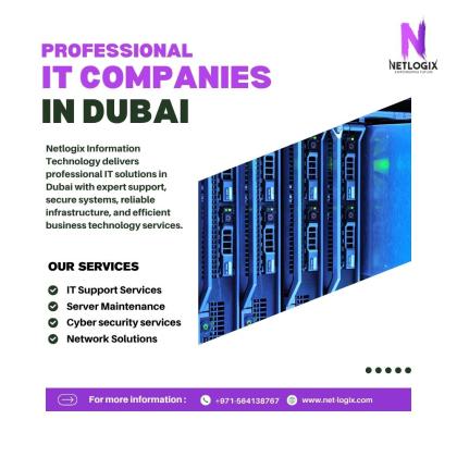 Professional IT Companies in Dubai for Tailored IT Services