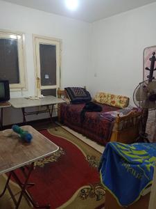 شقة مفروش للايجار