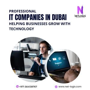 Professional IT Companies in Dubai Helping Businesses Grow with Technology