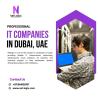 Professional IT Companies in Dubai for Reliable IT Services