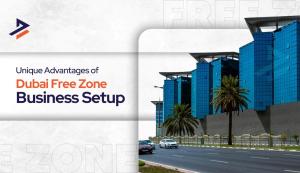 Benefits of Free Zone Company in Dubai - Dubiz Business Setup