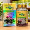 Hoodia Gordonii Plus Supplement Dubai — Where It Fits in Your Daily Wellness Routine