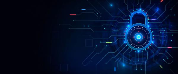 Custom Healthcare Software Solutions for Medical Organizations