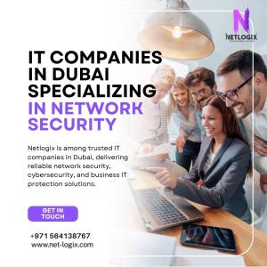 Professional IT Companies in Dubai Specializing in Network Security